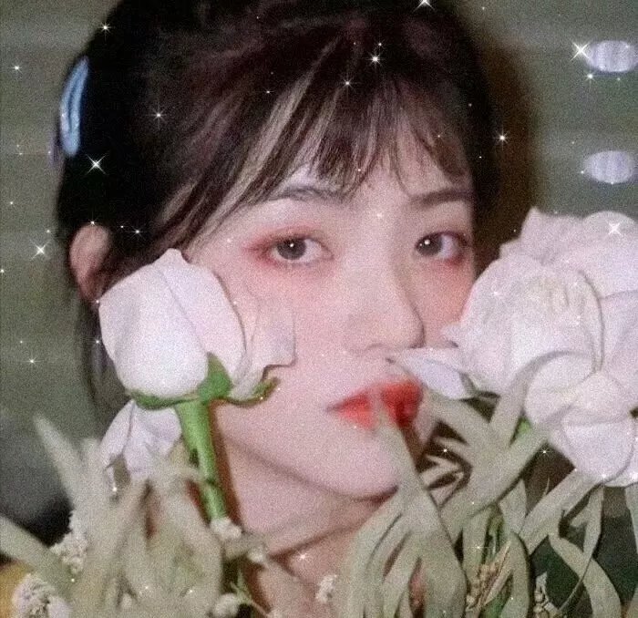 小佳人